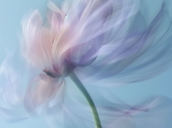 Pathways Squads put in strong impression